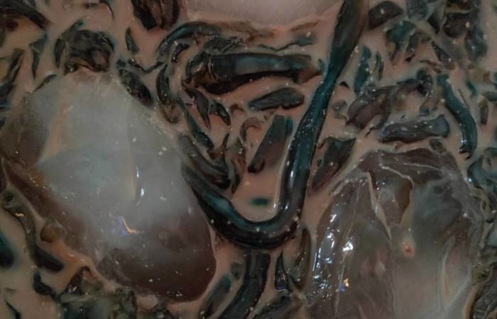 Resep 43 Es Milo Cincau Seger Dijamin Nikmat dan Mudah