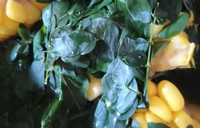 Resep Sayur Bening Jagung Daun Kelor Dengan Bahan Sederhana