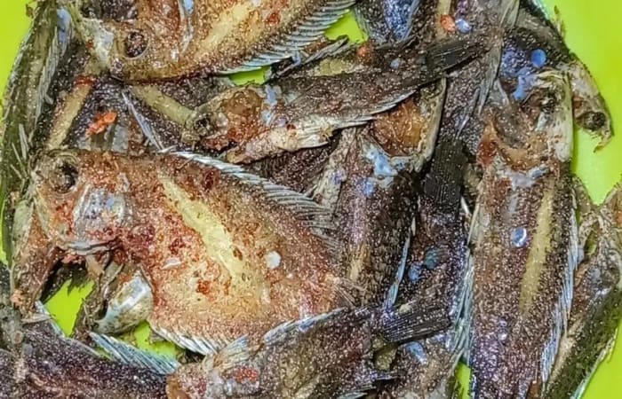 Resep Papuyu Goreng Rasanya Maknyus