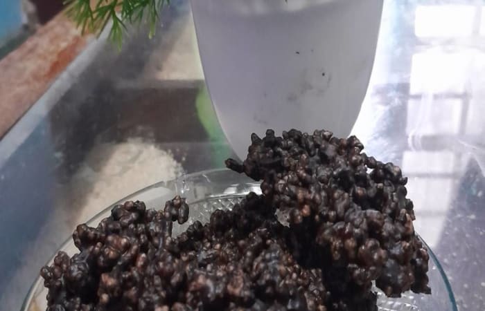 Resep Cemilan Top Dari Nasi Favorit Bunda