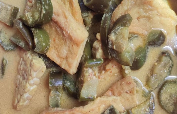 Resep Gulai Terong Tahu Tempe Bumbu Instan Paling Praktis dan Simple