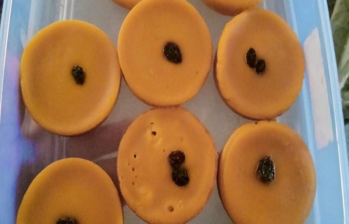 Resep Kue Lumpur Waloh(labu Kuning) Paling Mudah dan Enak