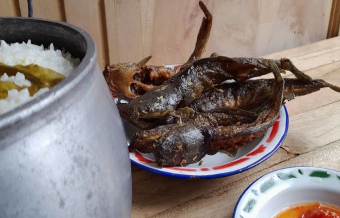 Resep Pecel Lele Dijamin Nikmat dan Mudah