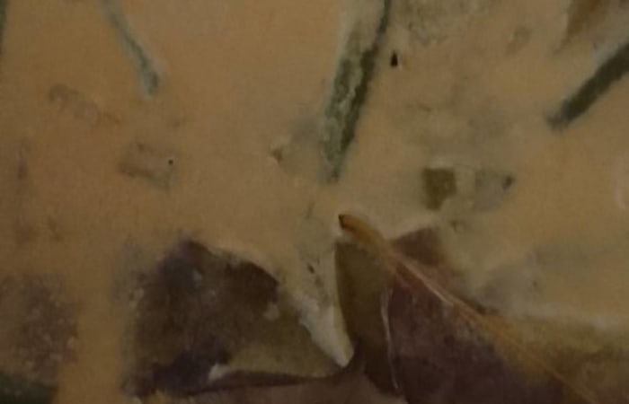 Resep Lodeh Kacang Terong Tempe Paling Praktis dan Simple