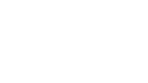 Committee to Elect Zac Bears