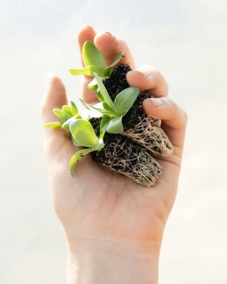 Diminuer son stress grâce à l'alimentation ? Pourquoi c'est possible.