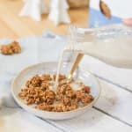 Bol pour le petit-déjeuner avec du pudding de chia, des morceaux de pomme, du granola bio et une cuillère de granola à tartiner