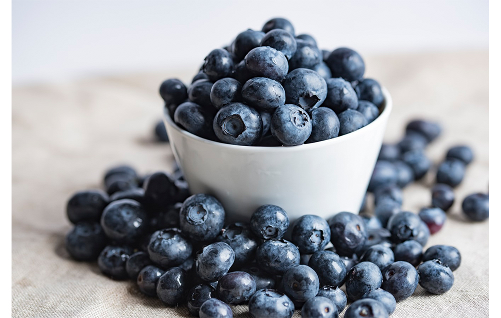 fresh blueberries in a bowl