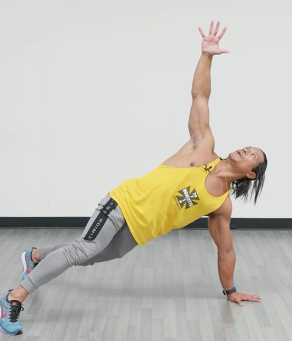 abs exercise external obliques