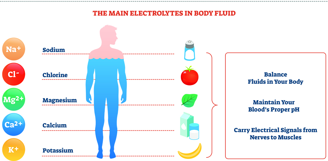 Illustration of electrolytes in the body