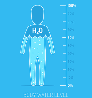 illustration of water in the human body