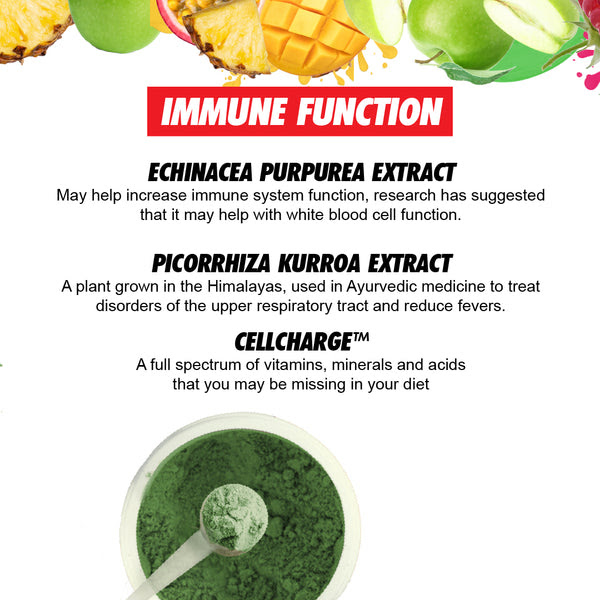 Immune Function