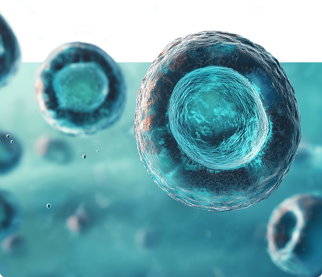 Our work bio technology