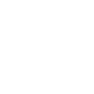 Madison white logo mark