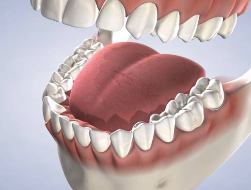 Query procedure tooth replacement options