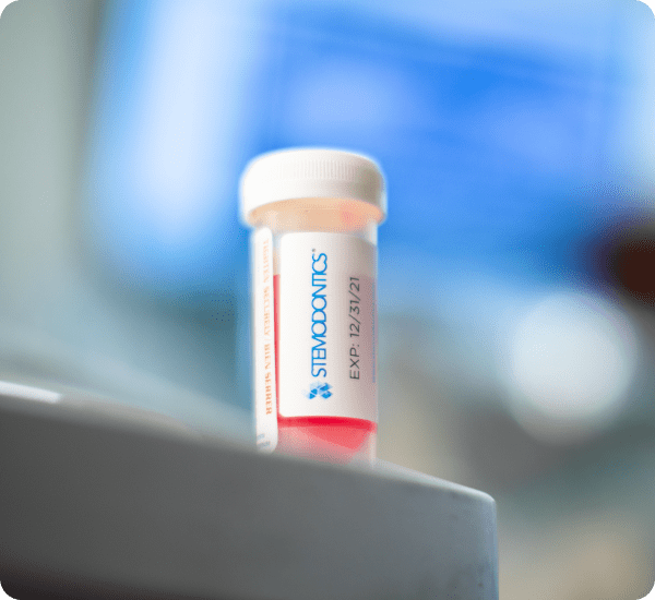 Stemodontics photography image 5