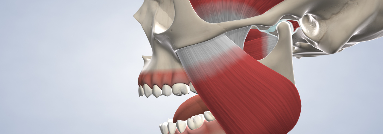 Tmj procedure desktop
