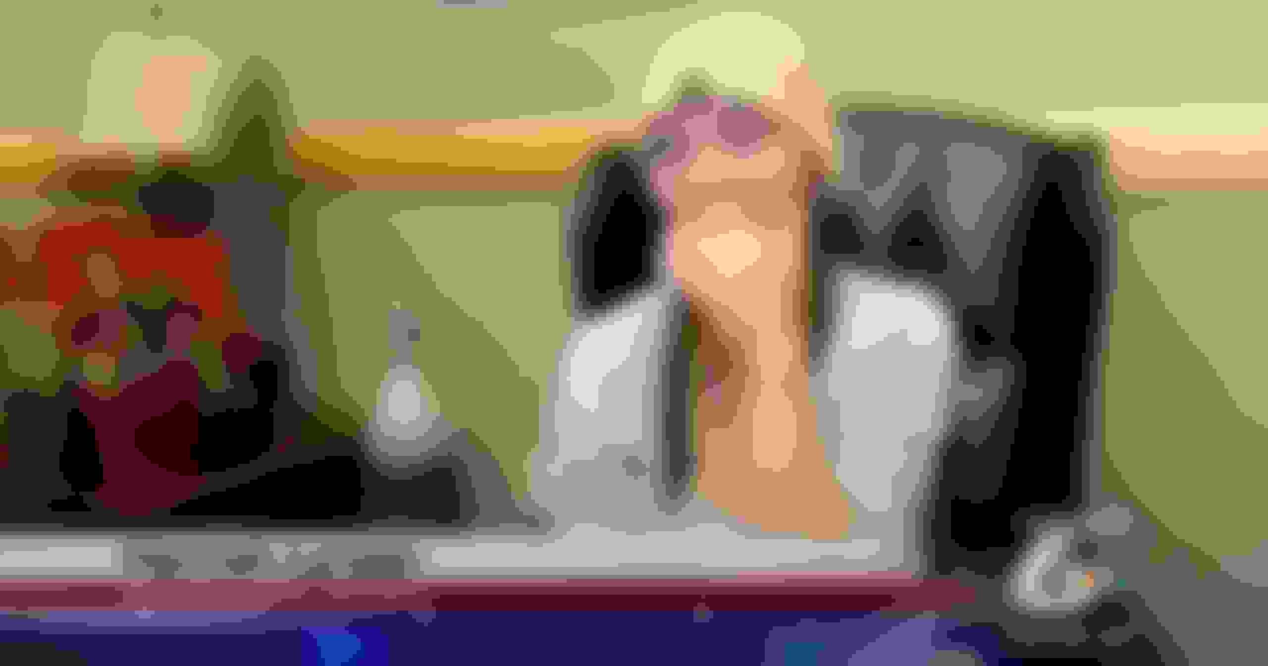 Community second chance media 7