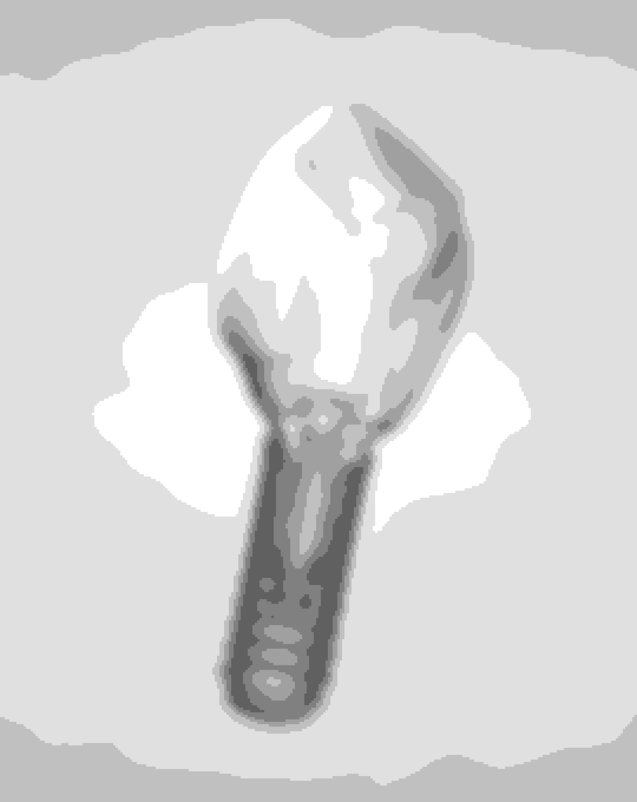 Dental implants procedure mobile