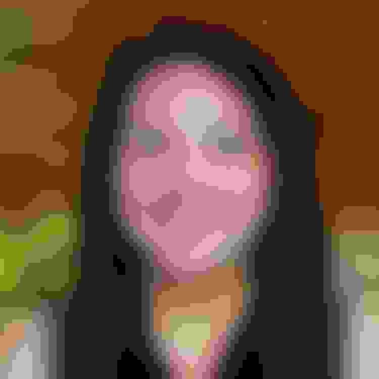 Courtney hybrid  facewall