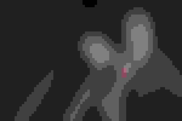 IMG sports guard AdobeStock 248639029