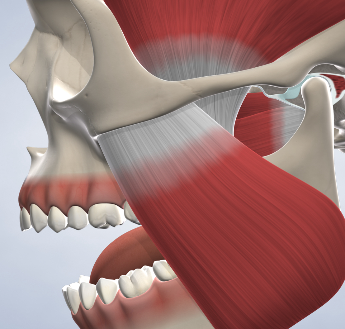 Tmj procedure mobile