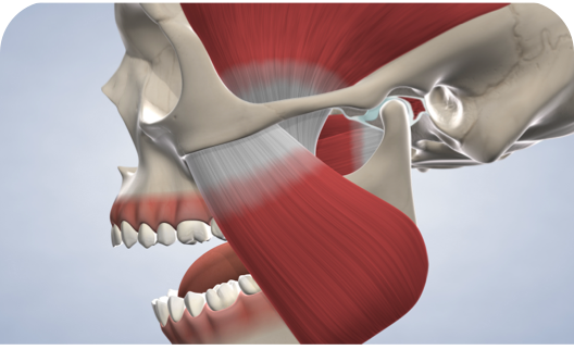 Tmj procedure query page