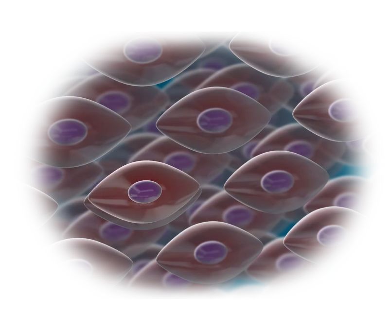 isolated  stem cell preservation  mobile