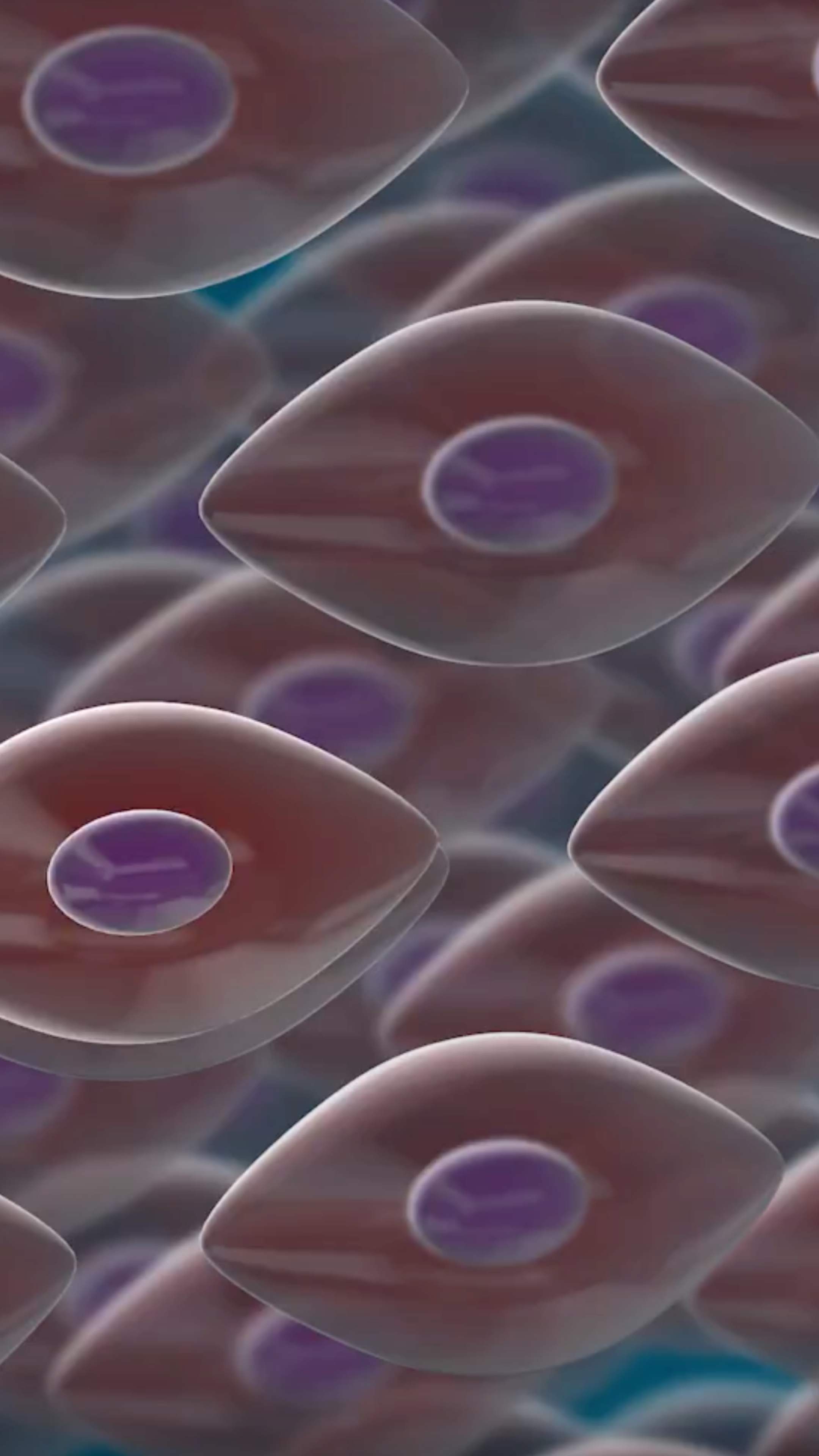 Procedure hero mobile stem cells.jpg