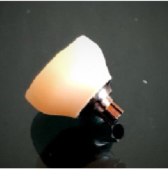 Ezpro tanatomical 1.jpg