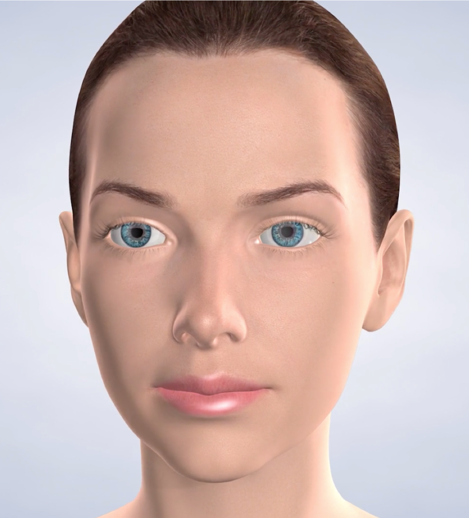 Facial cosmetics procedure query page