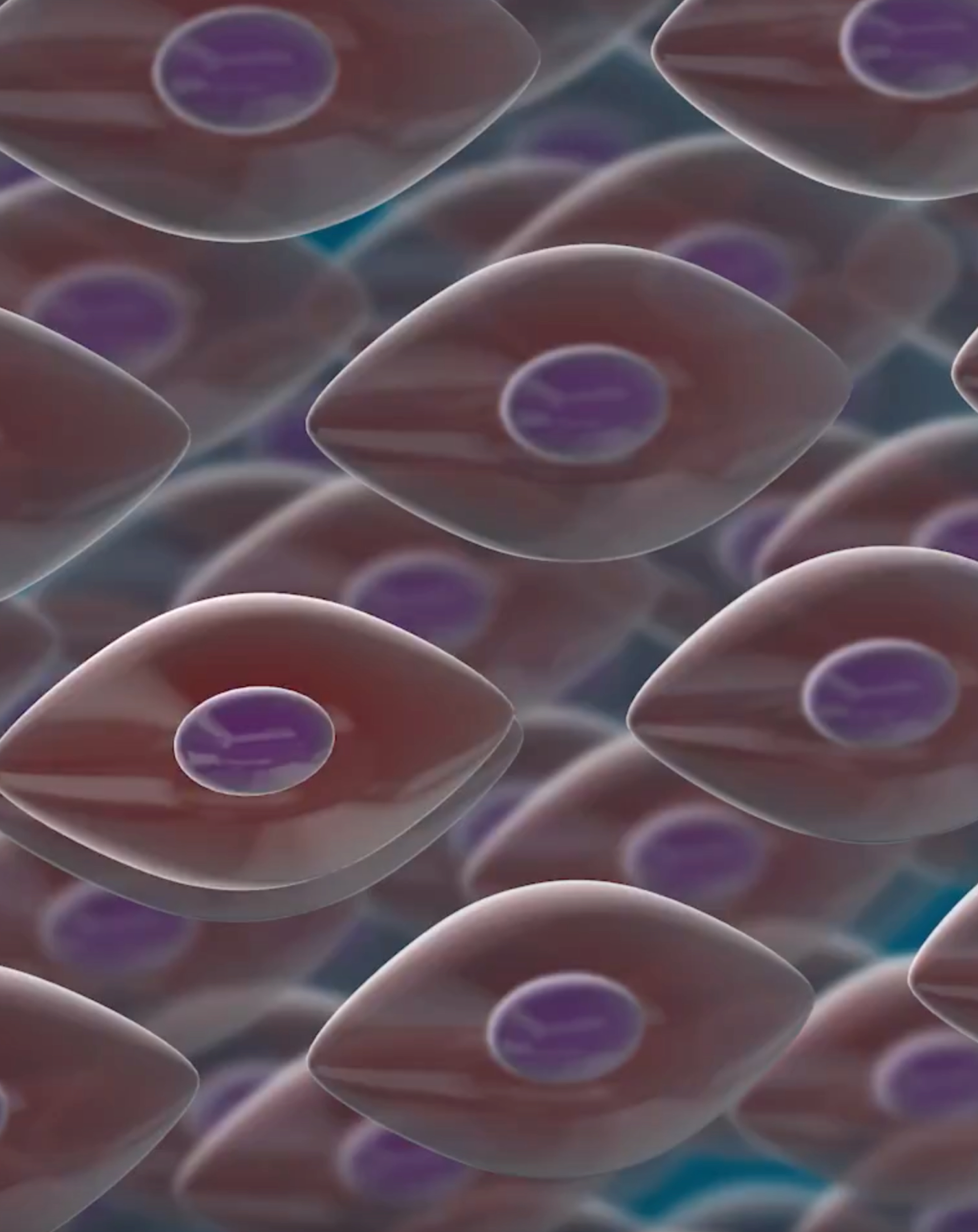 Procedure hero mobile stem cells.jpg