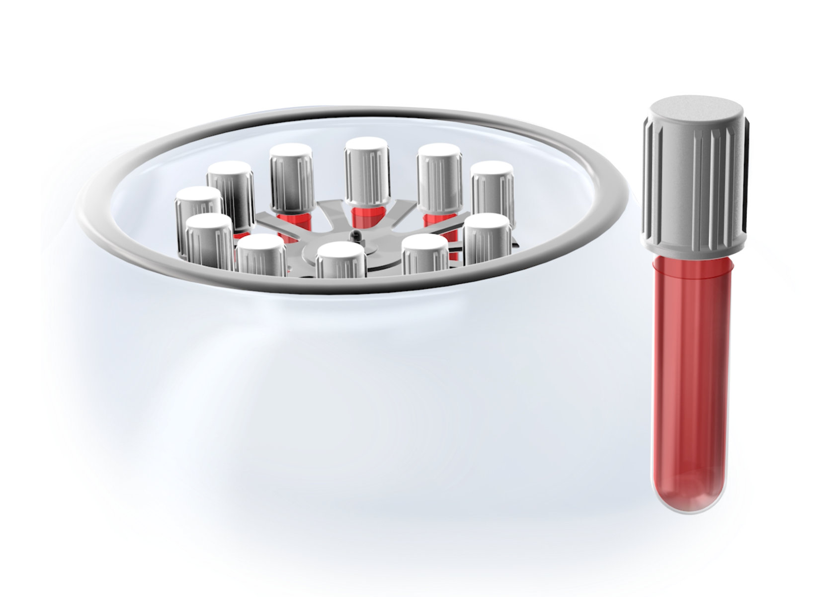 Isolated  platelet rich plasma fibrin