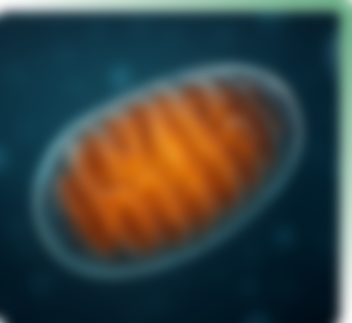 Nad plus optimization protocols