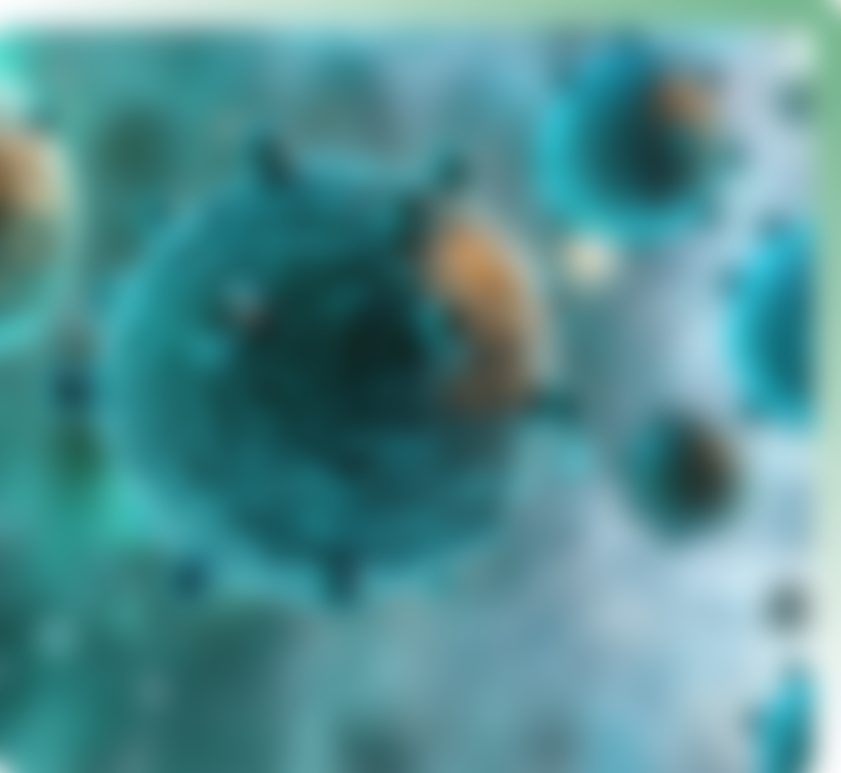 Peptides for immune and anti flammatory support