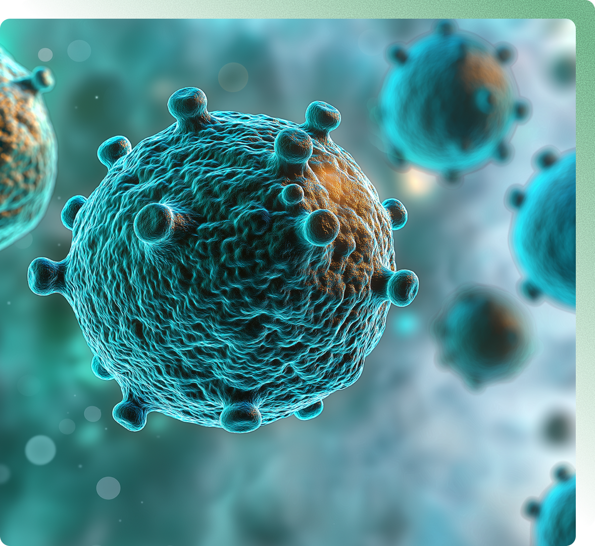 Peptides for immune and anti flammatory support