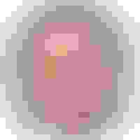 Testimonial facewall kent ext di