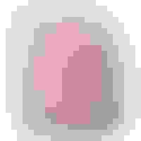 Testimonial facewall lonnie di