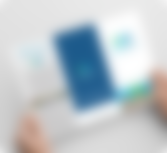 Wildsmiles branding business card mobile