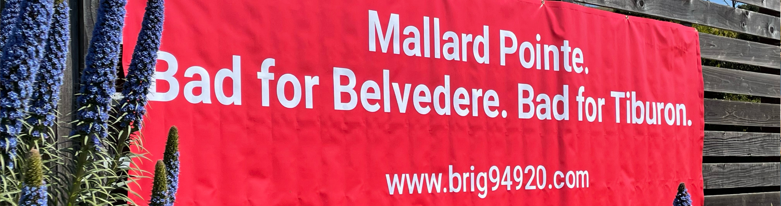 Community voices hero