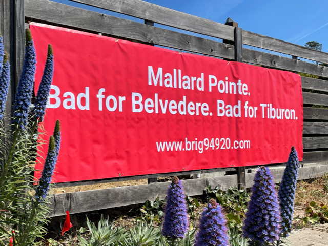 Community voices hero mobile