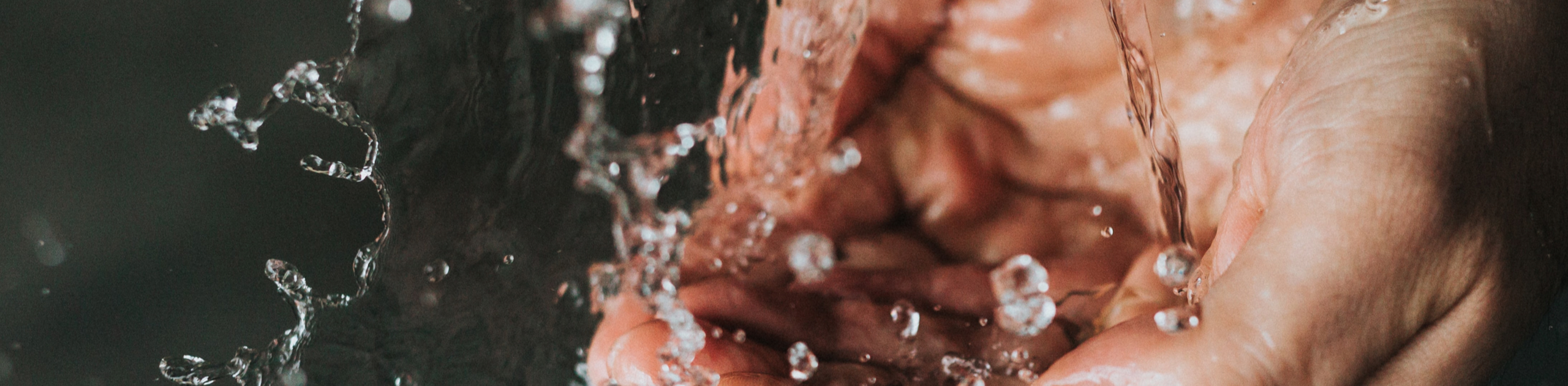 Mallard Pointe Project Water Impacts