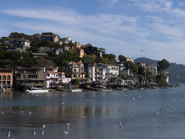 Mallard Pointe Project