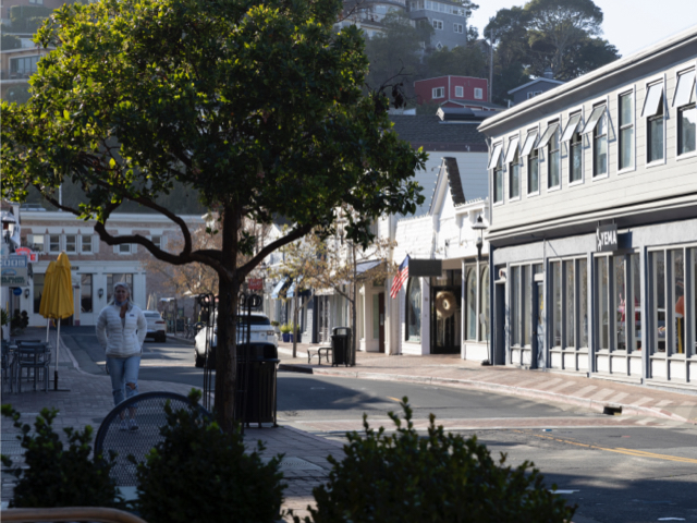 Mallard Pointe Project