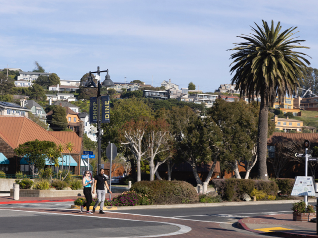 Mallard Pointe Project