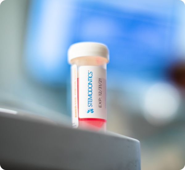 Stemodontics photography image 5