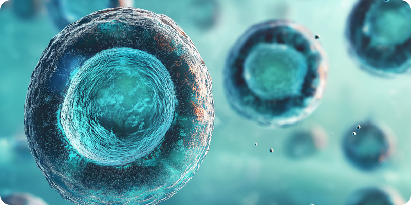 Bio technology industry work