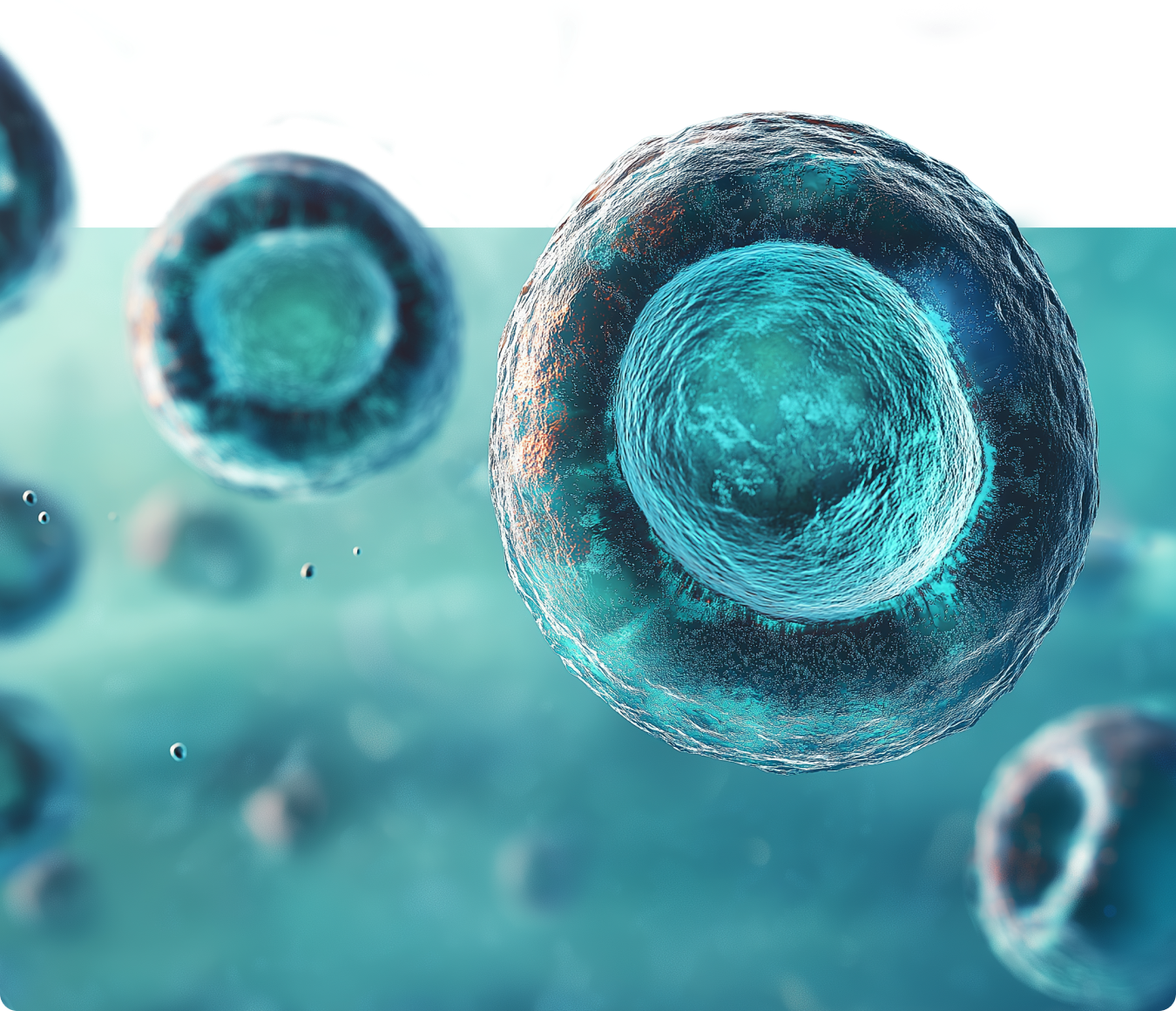 Our work bio technology