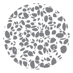 osteoporosis-page-jaw-osteonecrosis