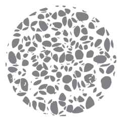 osteoporosis-page-osteonecrosis